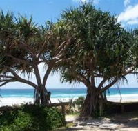 Pacific Surf Absolute Beachfront Apartments - New Castle Holiday