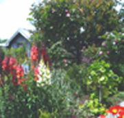 Hopfield Country Cottages - New Castle Holiday