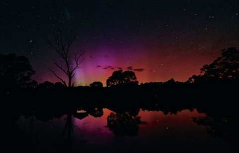 Moonbah Hut - New Castle Holiday 7