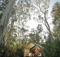 Paperbark Camp - New Castle Holiday
