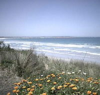 Moyne Cottage - New Castle Holiday