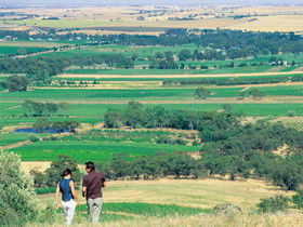 Barossa Best Bed And Breakfast - New Castle Holiday 5