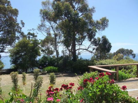 VARUNA - New Castle Holiday 2