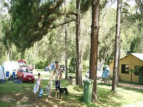 Glasshouse Mountains Holiday Village - New Castle Holiday 0