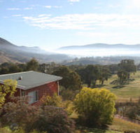 The Black Sparrow - New Castle Holiday