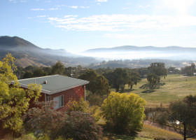 The Black Sparrow - New Castle Holiday 0