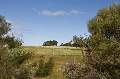 Ficifolia Lodge - New Castle Holiday 4