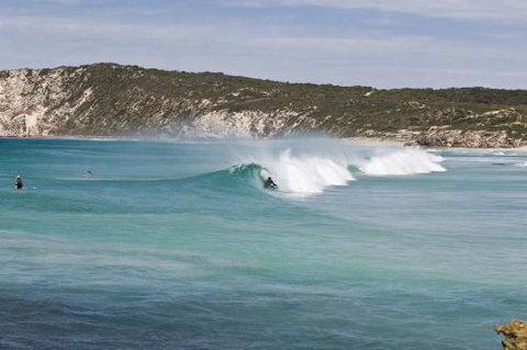 Ficifolia Lodge - New Castle Holiday 5