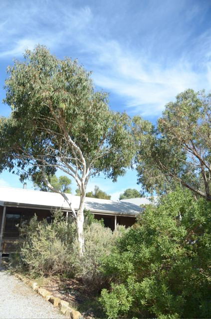 Dune Hideaway - New Castle Holiday 2