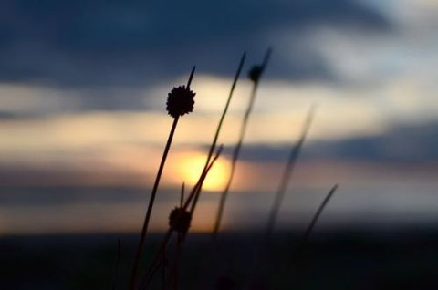 Dune Hideaway - New Castle Holiday 8