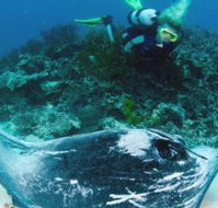 Heron Island Resort - New Castle Holiday