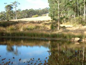 Kiah Nunyara Accommodation - New Castle Holiday 0