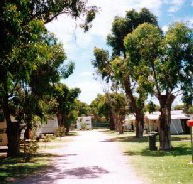 Bathers Paradise Caravan Park - New Castle Holiday