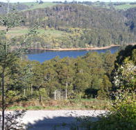 Charlyn Lodge - New Castle Holiday