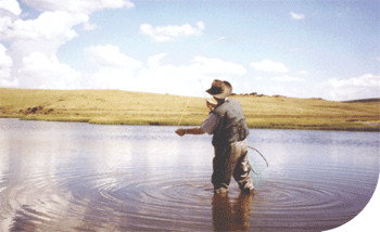 Tawonga Fishing Lodge - New Castle Holiday 3