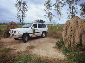 Mungumby Lodge - New Castle Holiday 0