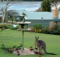 Gipsy Point Lakeside - New Castle Holiday