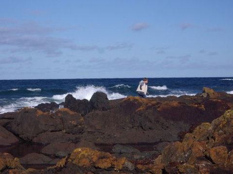 Walkerville South Accommodation - New Castle Holiday 1