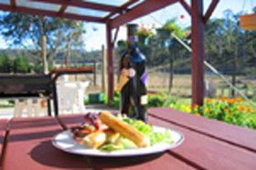 Quamby Pines Chalet B & B - New Castle Holiday 0