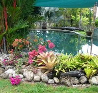Daintree Wild Bed And Breakfast - New Castle Holiday