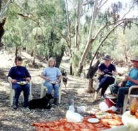 Bimbimbi And Little Hollow Farm Stay - New Castle Holiday