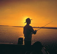 Point Stuart Wilderness Lodge - New Castle Holiday