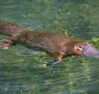 Eilean Donan Gardens - New Castle Holiday