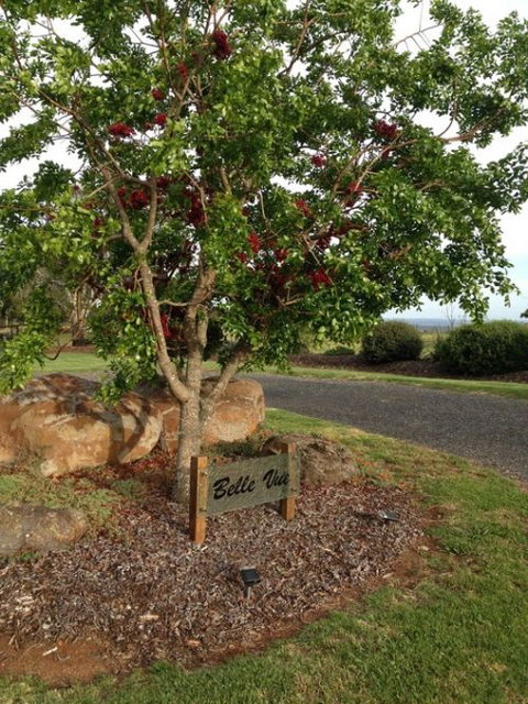 Belle Vue Studio - New Castle Holiday 0