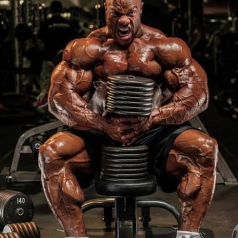 Cherry Blossum Residences - Lyndhurst - New Castle Holiday 4