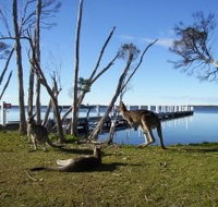 Waterfront Retreat At Wattle Point - New Castle Holiday
