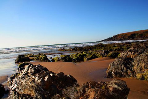 ArtHOUSE Beachfront Accommodation - New Castle Holiday 8