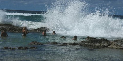 Orchid Sands Fraser Island Accommodation - New Castle Holiday 5