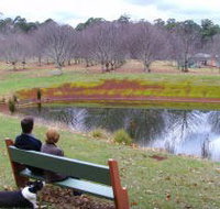 Chestnut Glade - New Castle Holiday