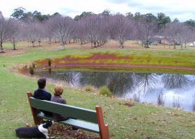 Chestnut Glade - New Castle Holiday 0