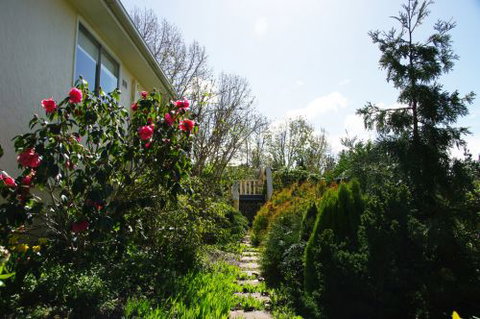 Yooringa - New Castle Holiday 6