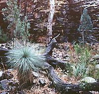 Alligator Lodge - New Castle Holiday