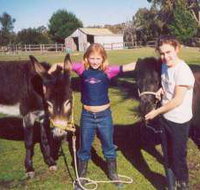 Grampians Sunrise Holiday Villas - New Castle Holiday