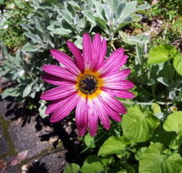 Kiewa Country Cottages - New Castle Holiday