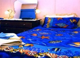 Bay Beach Cottage - New Castle Holiday 0