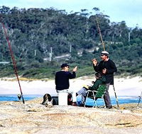 Binalong Bungalows - New Castle Holiday