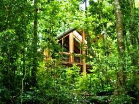 Tarzali QLD New Castle Holiday
