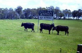 Cluan Homestead - New Castle Holiday 0