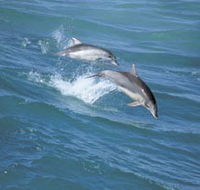 Seachange - New Castle Holiday