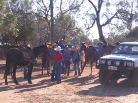 Evening Star Tourist Park - New Castle Holiday 0