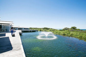 Caves Beachside Hotel - New Castle Holiday 42