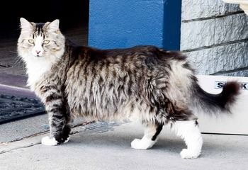 The Prince Mark Motor Inn - New Castle Holiday 32