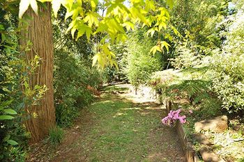 Holly Lodge - New Castle Holiday 4