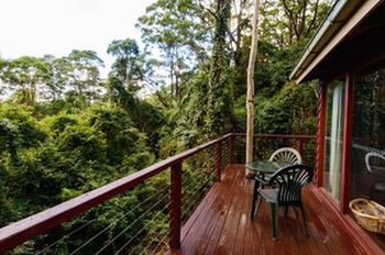 Kondalilla Eco Resort - New Castle Holiday 0