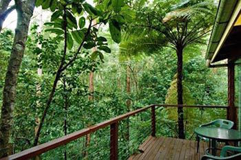 Kondalilla Eco Resort - New Castle Holiday 2