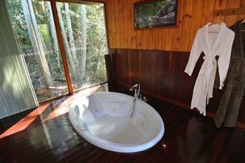 Kondalilla Eco Resort - New Castle Holiday 21